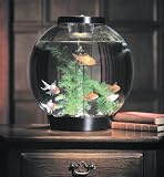 biOrb Black Aquarium Kit with Light