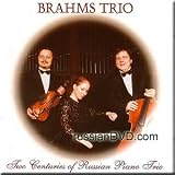 Glinka, Arensky, Shnitke - Brahms Trio (UK Import)