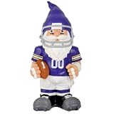 NFL Minnesota Vikings Throwback Gnome