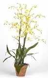 Silk Flowers Dancing Lady Silk Orchid Arrangement - Yellow - B001DQD66A