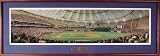 MLB Tampa Bay Devil Rays Tropicana Field Stadium First Pitch Panoramic Print Deluxe Frame