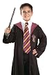 Harry Potter Costume Tie