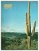 Arizona Highways October 1953 (Ansel Adams Photographs Death Valley) (Vol. 29 No. 10)