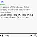 Noah Pro English dictionary