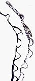 Black Diamond Nylon Daisy Chain