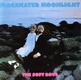 The Soft Boys - Underwater Moonlight