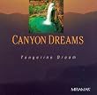 Canyon Dreams