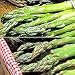Jumbo Asparagus Bargain