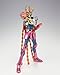 Saint Cloth Myth Phoenix Ikki (Initial Bronze Cloth) (PVC Figure) [JAPAN]