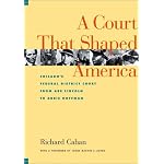 A Court That Shaped America : Chicago's Federal District Court from Abe Lincoln to Abbie Hoffman book cover