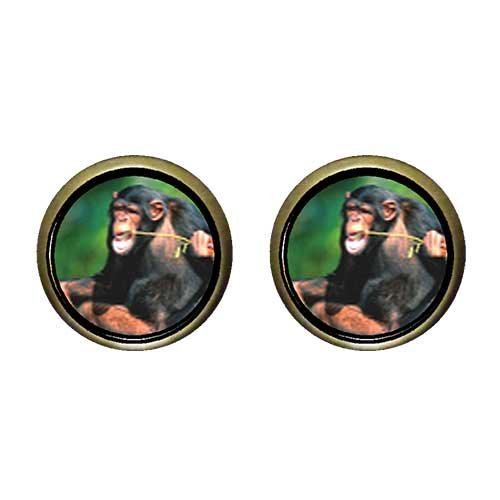 Chicforest Bronze Retro Style Funny Monkey Photo Stud Earrings 14mm Diameter
