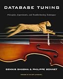 Database Tuning: Principles, Experiments, and Troubleshooting Techniques (The Morgan Kaufmann Series in Data Management Systems)