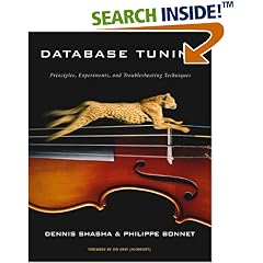 Database Tuning: Principles, Experiments, and Troubleshooting Techniques (The Morgan Kaufmann Series in Data Management Systems)