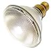 GE Lighting 20758 45-Watt PAR38 Outdoor Halogen Floodlight