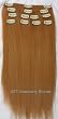 Hair Collection - 20" #27(Strawberry Blonde) Italian Remy Human Hair Clip in on Extensions