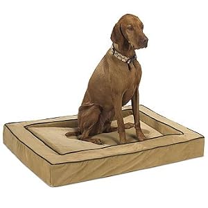 Memory Foam Pet Bed - Sky, Large - Frontgate Dog Bed