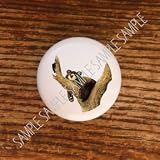 Napping Bear On Tree Limb Bears Bear Drawer Pulls Knobs