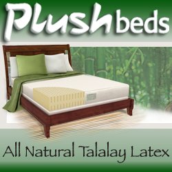 8 -- All Natural -- Talalay Latex Mattress - Twin