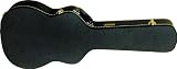 Gold Tone Beard Resonator Hard Case Round Neck - B0018TJIX2