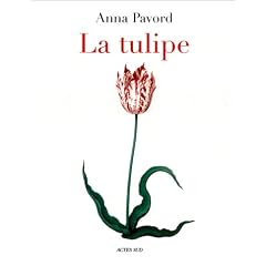 La Tulipe