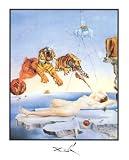 Salvador Dali (Flight of Bumblebee / One Second Before Awakening) Art Poster Print - 16" X 20"
