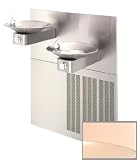 Outdoor Drinking Fountain