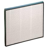Hunter Replacement HEPA Filter (30938)