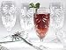 South Beach Palm Iced Tea Glasses Set of 4