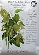 Bean Baby Lima Certified Organic Heirloom Seeds 30 Seeds