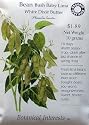 Bean Baby Lima Certified Organic Heirloom Seeds 30 Seeds