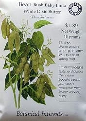 Bean Baby Lima Certified Organic Heirloom Seeds 30 Seeds