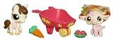 Hasbro - 651871480 - Petshop Duo En Voyage - le Mouton et le Cheval