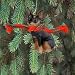 Miniature Pinscher Christmas Ornament