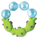 Fisher-Price Deluxe Gum Soother, Green/Blue