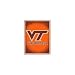 Virginia Tech Hokies 48