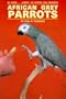 African Grey Parrots