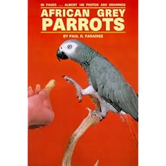 African Grey Parrots