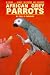 African Grey Parrots