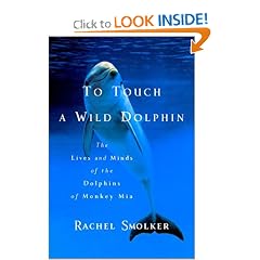To Touch a Wild Dolphin