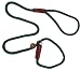 Pet Supplies : British Style Slip Lead - 1/2 in. x 6' - Hunter Green