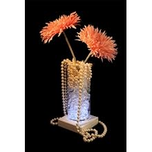 Fortune Products LB-5W Square Light Base with White LED's, 5" Length x 5" Width x 1-1/4" Height