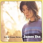 Let It Come Down by James Iha