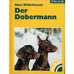 Der Dobermann.