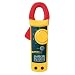 Fluke Corporation 322  AC Clamp Meter