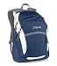 JanSport Wasabi Backpack (Blue Ridge)