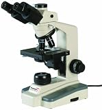 Thomas 1100100500531 Standard Brightfield Compound Binocular Microscope, Achromat Objective, 4x - 100x Magnification