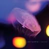 Image of album by Robin Guthrie