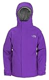 The North Face Girls' Evolution TriClimate Jacket (L, Gravity Purple)