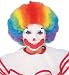 Clown Wig, Multi-color