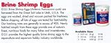 Brine Shrimp Eggs - BRINE SHRIMP EGGS 6 GRAM